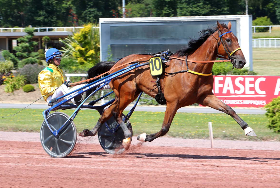 prono choc || prono choc turf || pronochoc || prono choc pmu || quinté choc